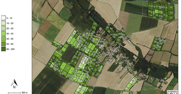 Tweet card summary image