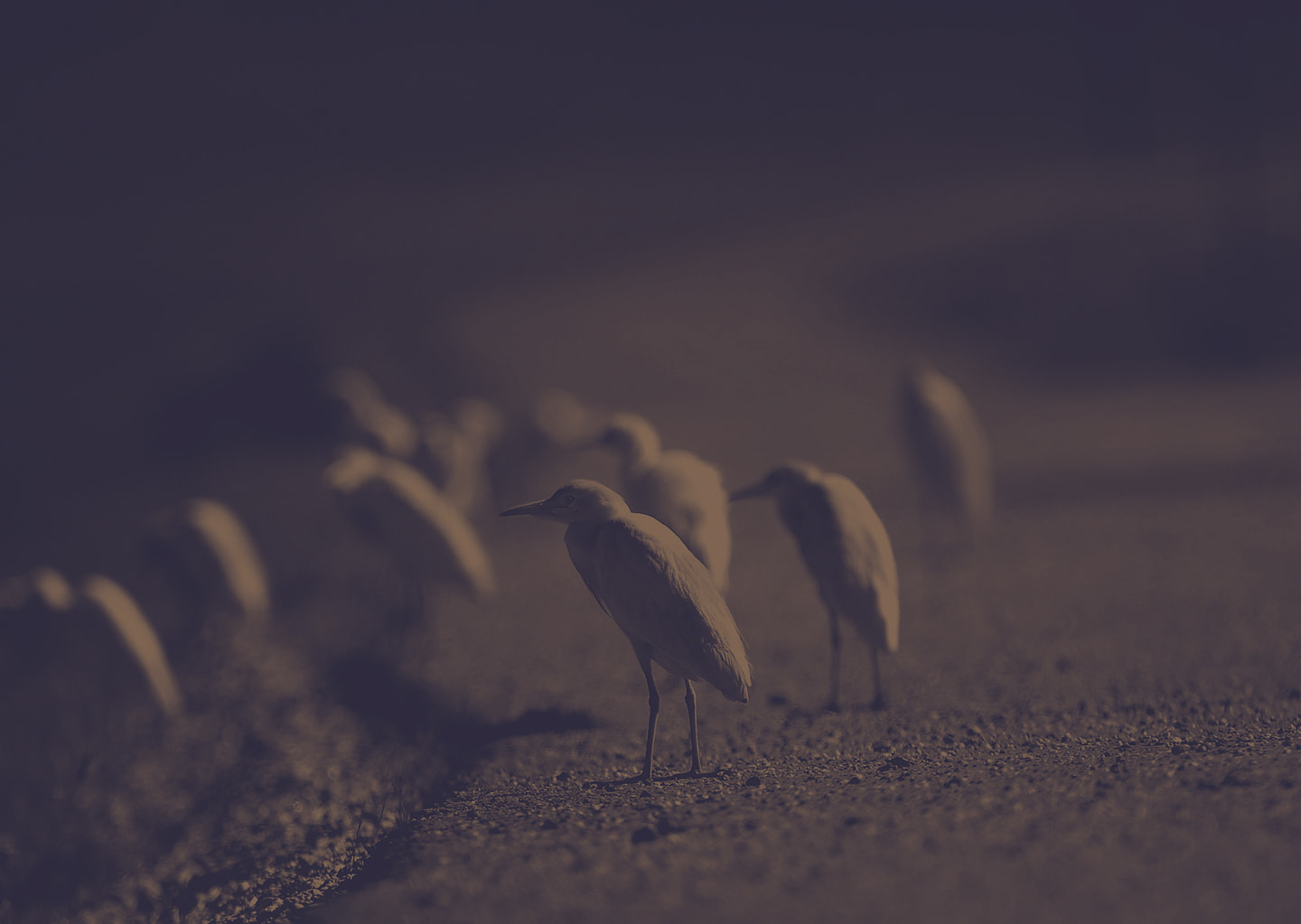 dataegret's tweet card. <- Back to all courses High Performance SQL with Postgres Advanced Course for Developers Deep-dive course by the recognised PostgreSQL contributing sponsor, Data Egret, designed to help developers...