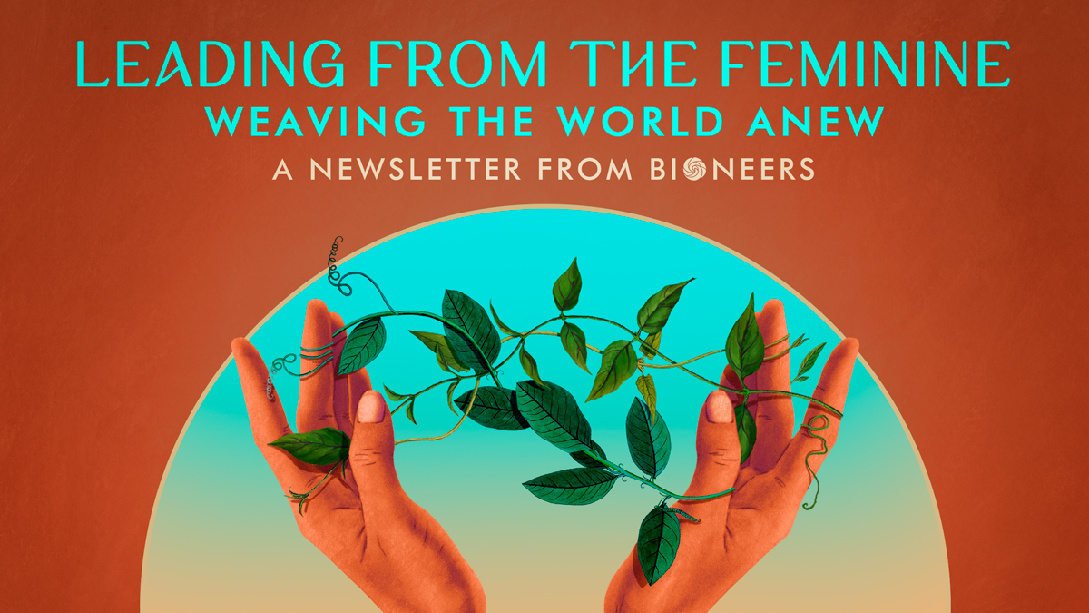 bioneers's tweet card. Welcome to “Leading from the Feminine,” a vibrant resource in the flourishing world of leading from the heart, hands and spirit. This newsletter exists to bridge divides and celebrate connections...
