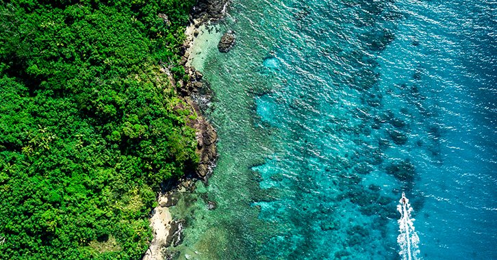 Tweet card summary image