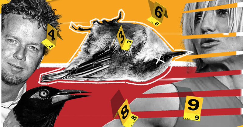 Tweet card summary image