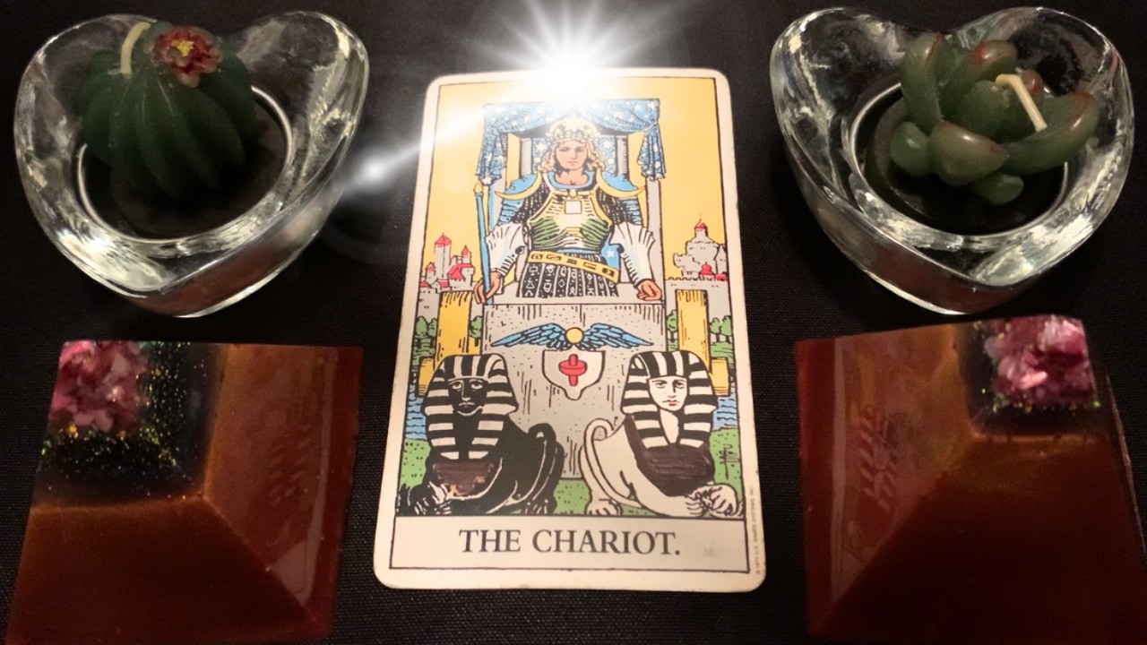 microdose_vibes's tweet card. Your DM “I want you”