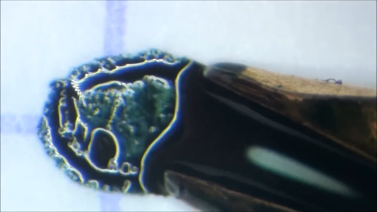 jessekanda's tweet card. Doon Kanda - alesce