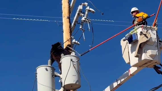 Image for twitter card