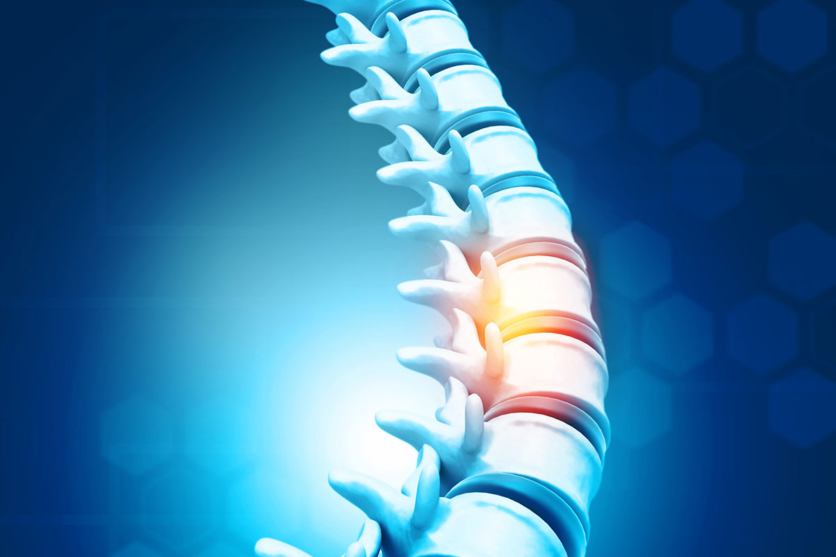 ScienceBlogTwit's tweet card. Summary: UCSF researchers have uncovered a molecular pathway that controls scar tissue formation after spinal cord injuries, potentially paving the way