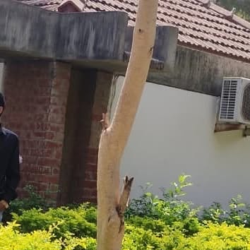 kasyap_Rishabh's tweet card. 🔥🖤𝓚𝓪𝓼𝓱𝔂𝓪𝓹_𝓡𝓲𝓼𝓱𝓪𝓫𝓱🖤🔥 (@kasyap_rishabh) • Instagram photo