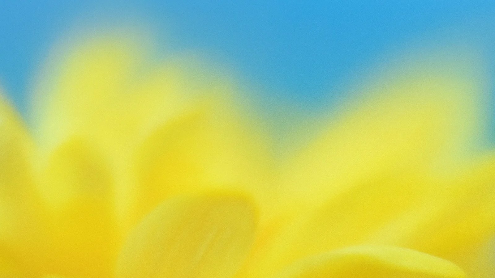 TheVCNotebook's tweet card. OpenAI takes an ownership stake in Thrive Holdings to accelerate enterprise AI adoption, embedding frontier research and engineering directly into accounting and IT services to boost speed, accuracy,...