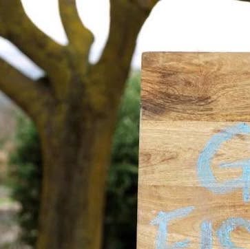 IntolCooks's tweet card. The Intolerant Cooks (@intolerantcooks) • Instagram photo