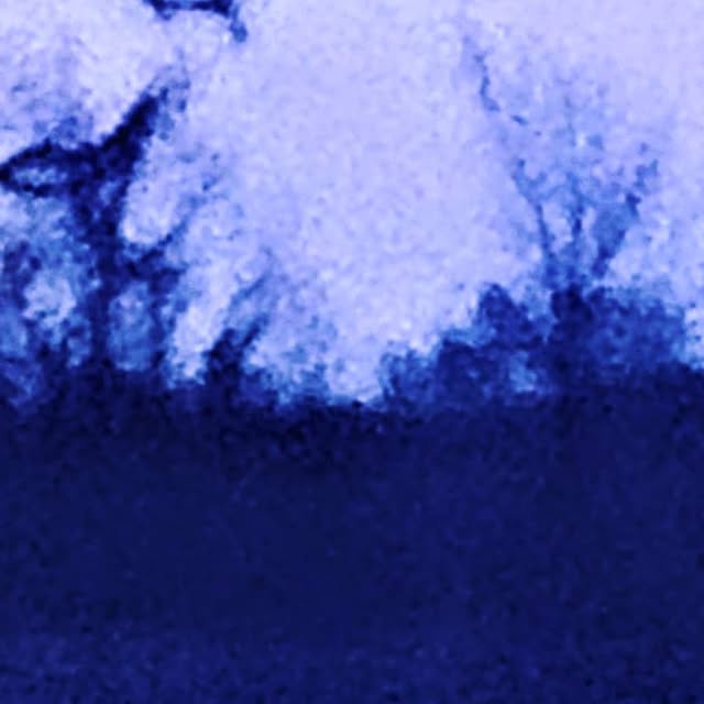 CSchoals's tweet card. Chas Schoals (@chasschoals) • Instagram photo