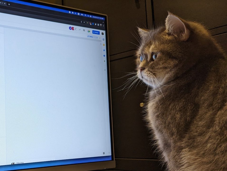 log0's tweet card. A Tech Lead (TL) is responsible for overseeing and driving the end-to-end lifecycle of a project to land through rallying the team behind them - often uniquely through being simultaneously autonomo...