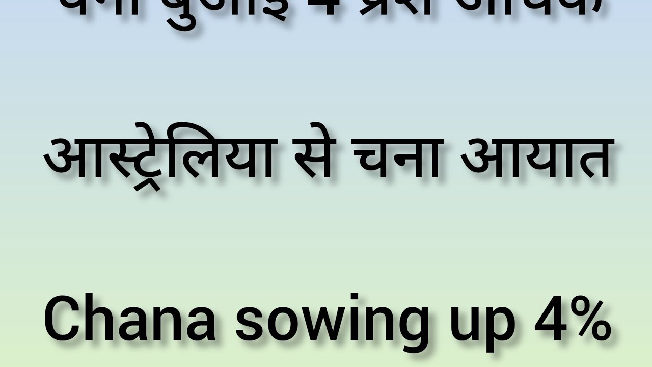 rajesh10sharma's tweet card. चना बुआई 4 प्रश अधिक, आस्ट्रेलिया से चना आयात,Chana sowing up 4%