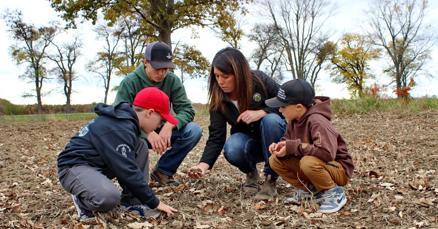 Tweet card summary image