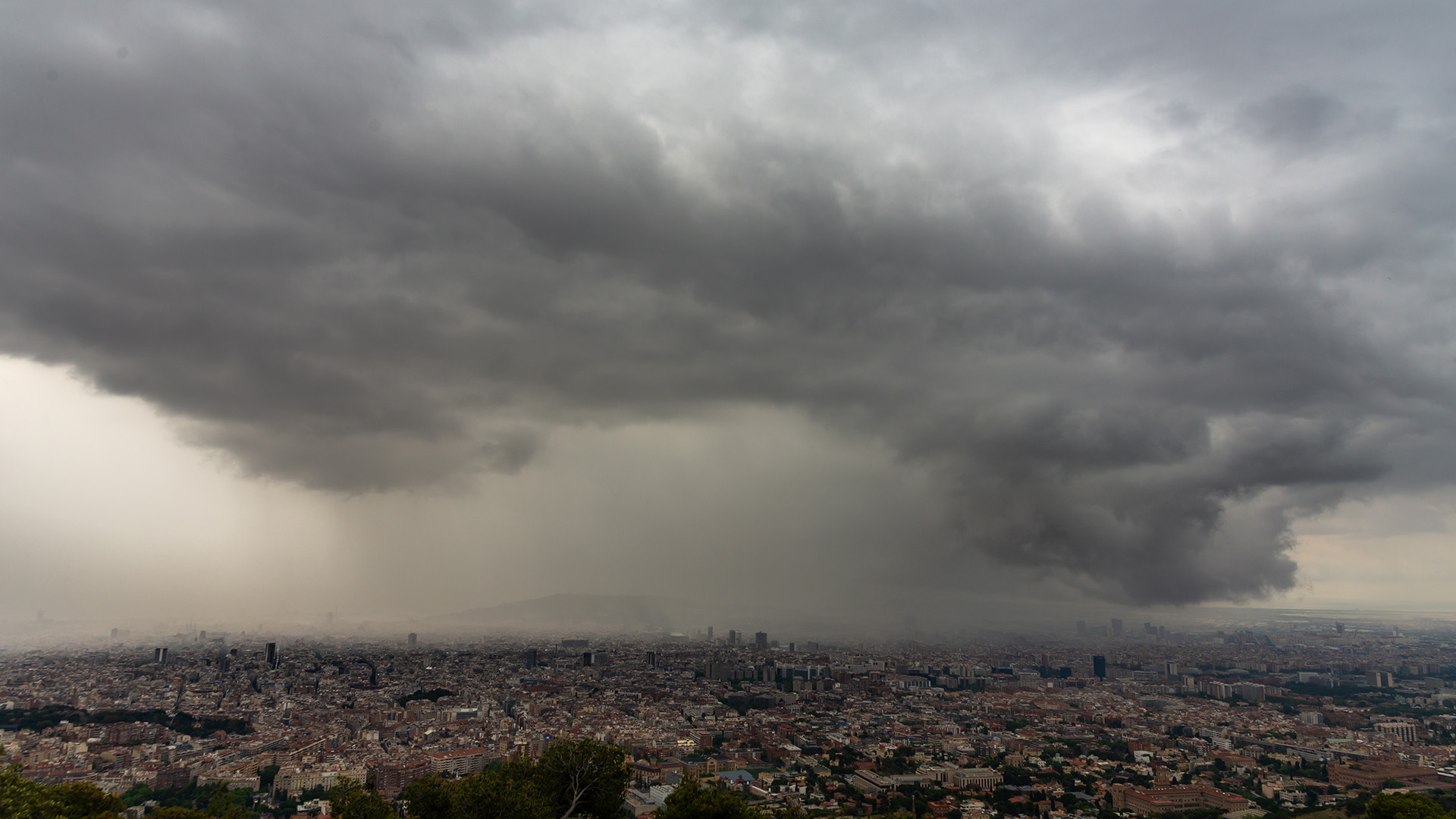 btveltemps's tweet card. Els més de 30 l/m² de pluja recollits dimarts, 11 de juny, a l'Observatori Fabra de Barcelona han fet ascendir a més de 310 litres el total anual.
