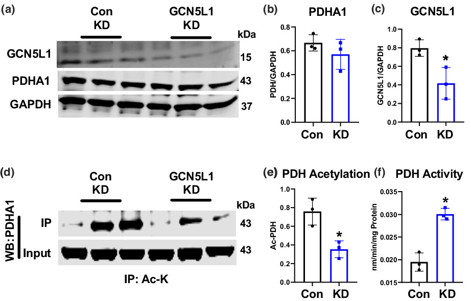 matrixule's tweet card. Left ventricular diastolic dysfunction is a structural and functional condition that precedes the development of heart failure with preserved ejection fraction (HFpEF). The etiology of diastolic...