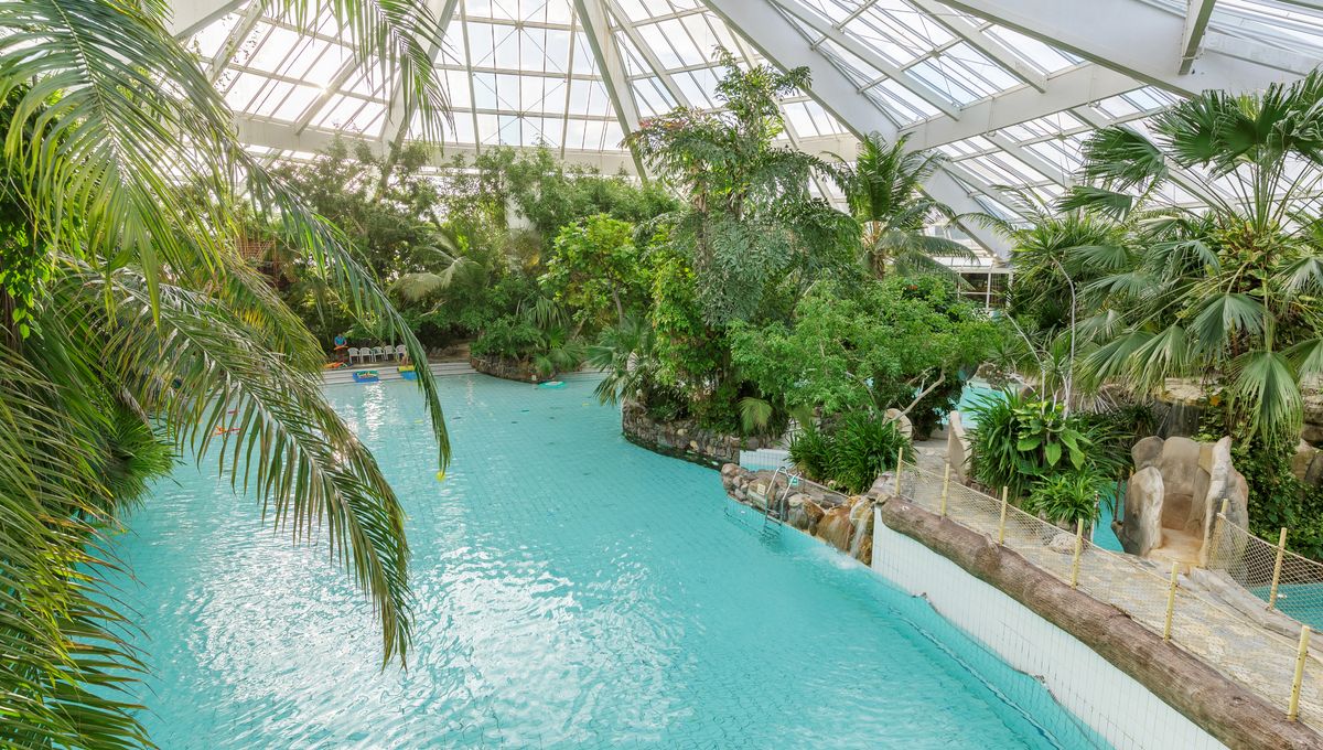 GroupePVCP's tweet card. Le domaine des Bois Francs de Center Parcs dans l'Eure rouvre ses portes ce vendredi après plus de deux mois et demi de fermeture. 1.500 clients ont reservé pour passer un week-end au vert. Ils...