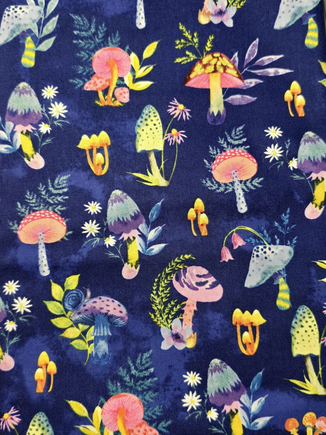 oddballcattoys's tweet card. This Cat Toys item by oddballcattoys has 6 favorites from Etsy shoppers. Ships from Rapid City, SD. Listed on Oct 5, 2025