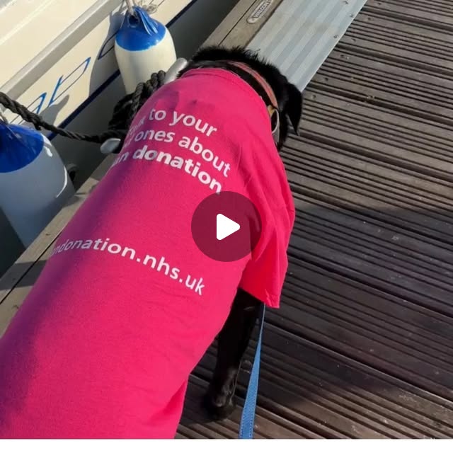 ChipBEblog's tweet card. Lottie Bryon-Edmond (@lbryonedmond) • Instagram reel