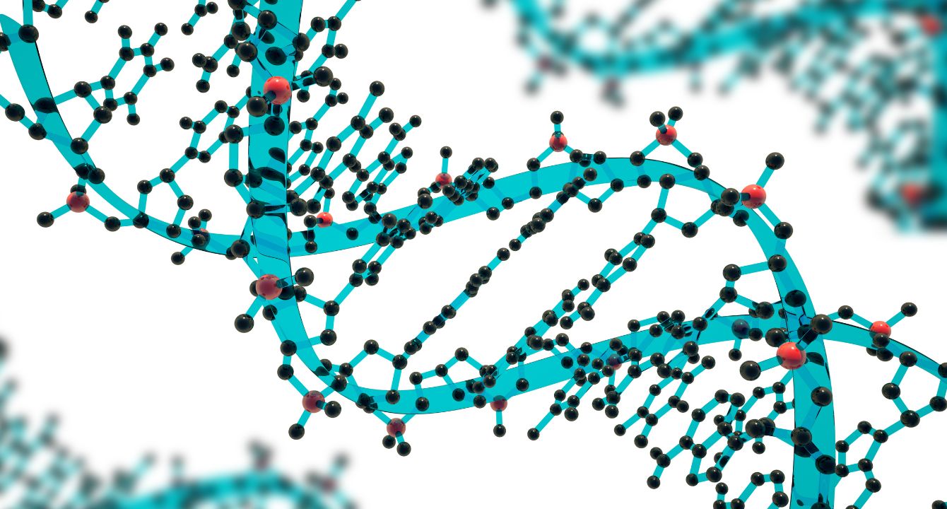 HealthyDebate's tweet card. Gene therapy is expensive, but highly effective, for certain conditions. Should Canada step in to help fund these treatments?
