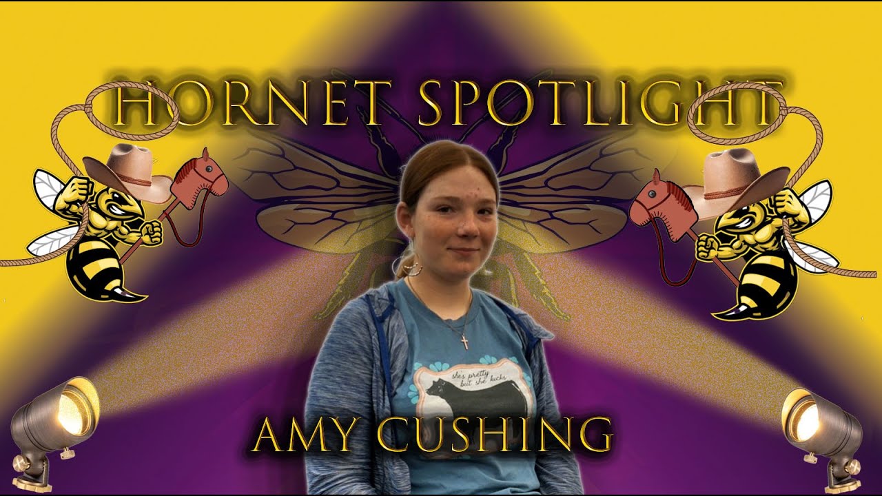 T_Sweeter's tweet card. PBHS Hornet Spotlight - Amy