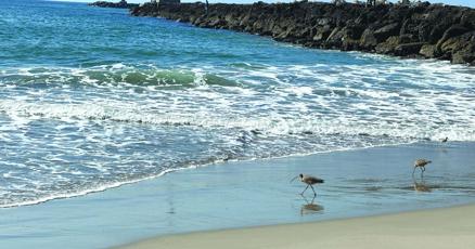 VC_Reporter's tweet card. A fatal boating accident off the coast near Channel Islands Harbor during 1978 is still reverberating today, as the truth finally resonates regarding an enduring maritime mystery.