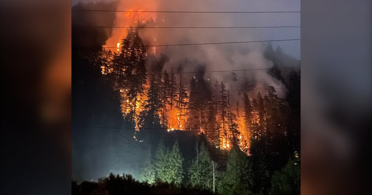 CTVVancouver's tweet card. The District of Squamish has placed a number of properties under an evacuation alert after a wildfire broke out in the region Monday.