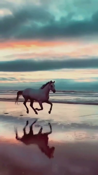 Olavertaofficia's tweet card. Vivaldi Horse vs Horizon #motionclash #speedlegends