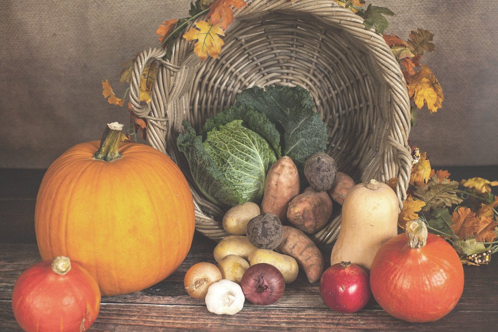 YourEnglishPal's tweet card. Free ESL lesson plan on Thanksgiving for adults and young adults at an intermediate (B1/B2) to advanced (C1/C2) level.