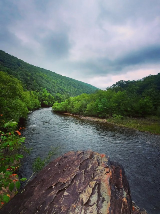 DocDavidM's tweet card. “The historical sense involves a perception, not only of the pastness of the past, but of its presence” ― T.S. Eliot, Four Quartets The New Recovery Advocacy Movement got off the ground in America …