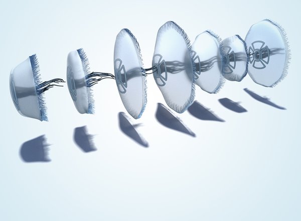 robinrmurphy's tweet card. Researchers show that a wide variety of animal locomotion styles can be modeled with a single algorithm.