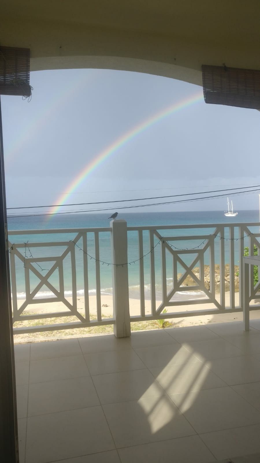 iDocsSolutions's tweet card. Merry Christmas folks