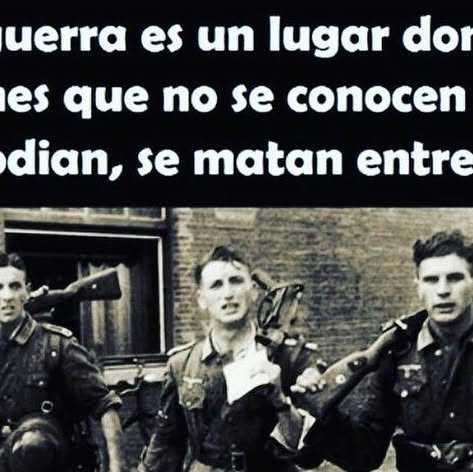 sigridalegria's tweet card. Sigrid Alegria (@sigridalegria) • Instagram photo