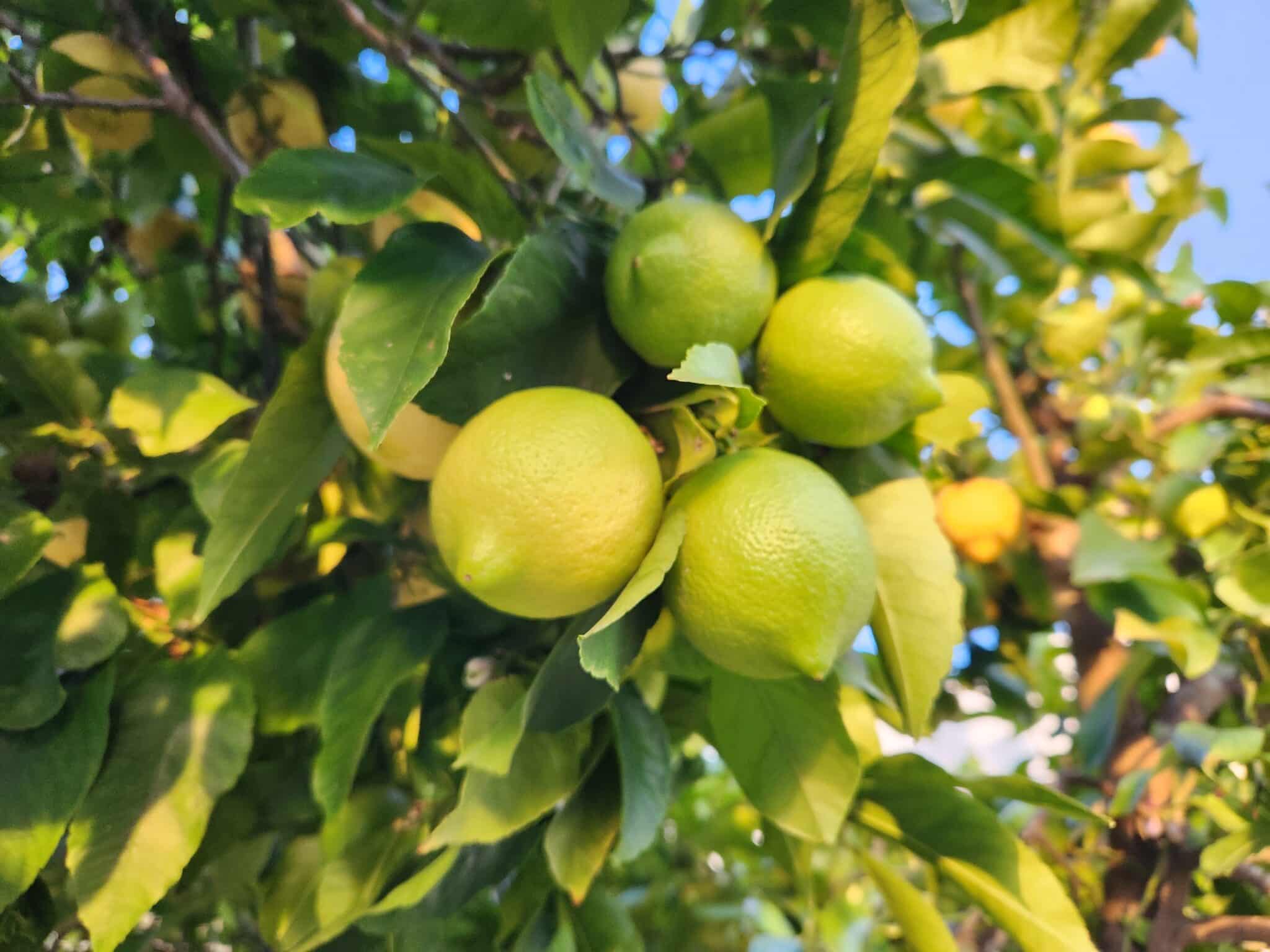 level343's tweet card. Customized Site Audits and Website Optimization Services Learn exactly what your site needs to succeed. Start now. Talk to a Level343 optimization