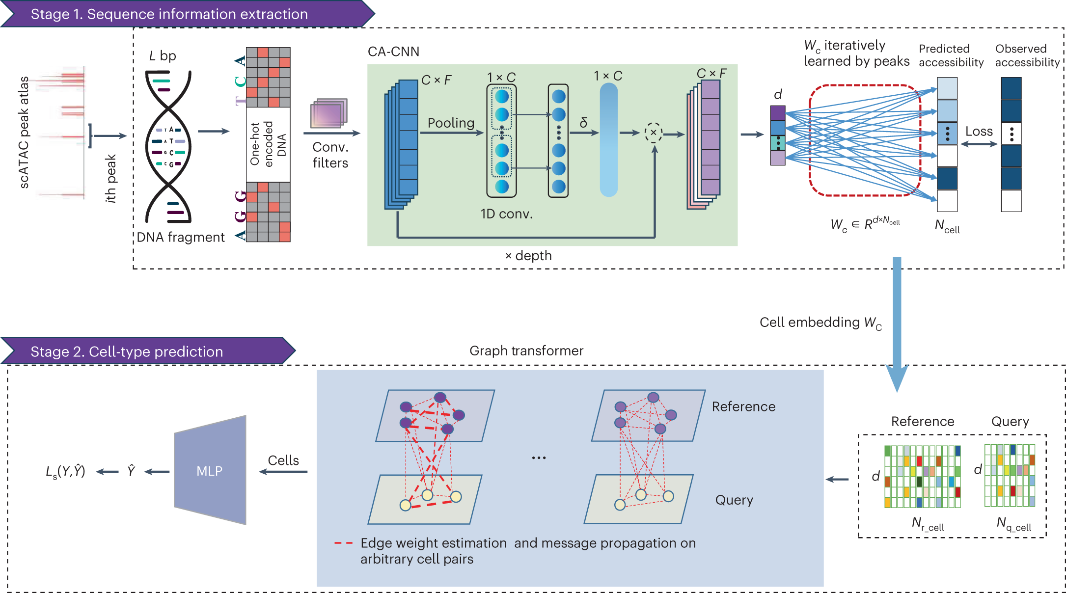 BioDecoded's tweet card. Nature Computational Science - This study introduces SANGO, a method for accurate single-cell annotation leveraging genomic sequences around accessibility peaks within single-cell ATAC sequencing...