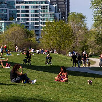 Tweet card summary image