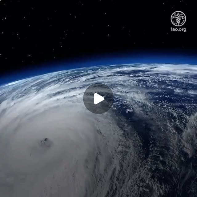 hprajdev's tweet card. Duoc Nguyen (@davinanguyen) • Instagram reel