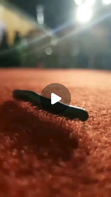 hprajdev's tweet card. Nandan Parab 🌎🍃 (@to_savesoil_i_) • Instagram reel