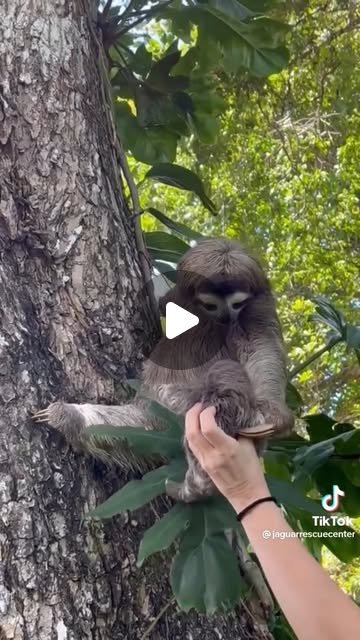 writeupyourst's tweet card. The Happy News (@thehappynewspaper) • Instagram reel