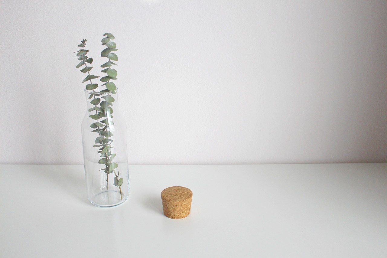 AcrossGreenBlog's tweet card. Minimalism and the environment often show up in the same areas. This article explores exactly how minimalism impacts the environment.