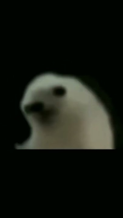 RobloxFreeUgc's tweet card. Ahmet muhsin💪🏻💪🏻💪🏻💪🏻😻😻😻 #keşfet #itzy #midzy #btw #keşfetol