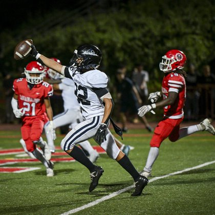 Tweet card summary image