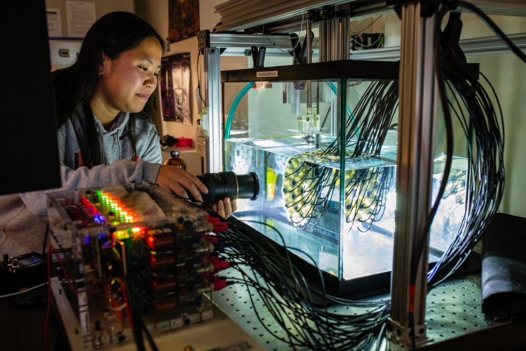 vtnews's tweet card. Nine research teams received funding for innovative collaborations that will pave the way for large-scale, transformative research funding.