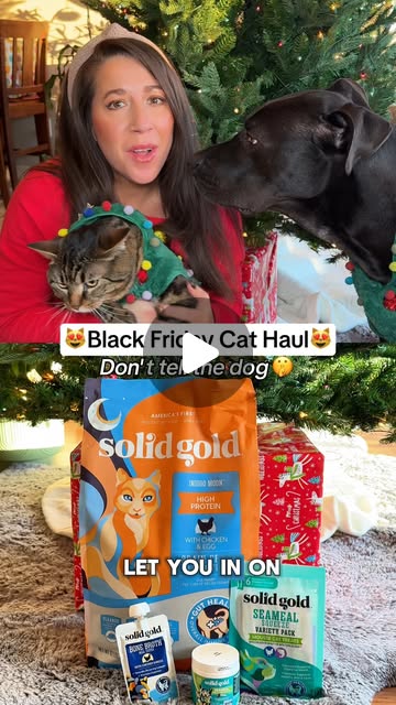 NataliedoesUGC's tweet card. Solid Gold Pet (@solidgoldpets) • Instagram reel