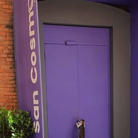 muci_py's tweet card. MuCi: Museo de Ciencias 🇵🇾 (@muci_py) • Instagram photos and videos