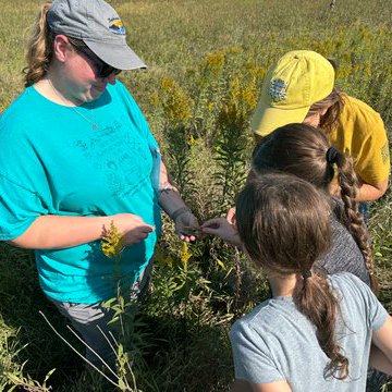 Tweet card summary image