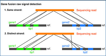RNASeqBlog's tweet card. Gene fusions are prevalent in a wide array of cancer types with different frequencies. Long-read transcriptome sequencing technologies, such as PacBio, Iso-Seq, and Nanopore direct RNA sequencing...
