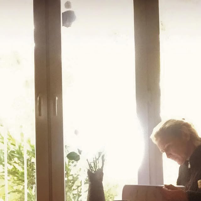 sigridalegria's tweet card. Sigrid Alegria (@sigridalegria) • Instagram photo