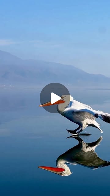 LChavez5280's tweet card. EarthPix 🌎 Travel (@earthpix) • Instagram reel