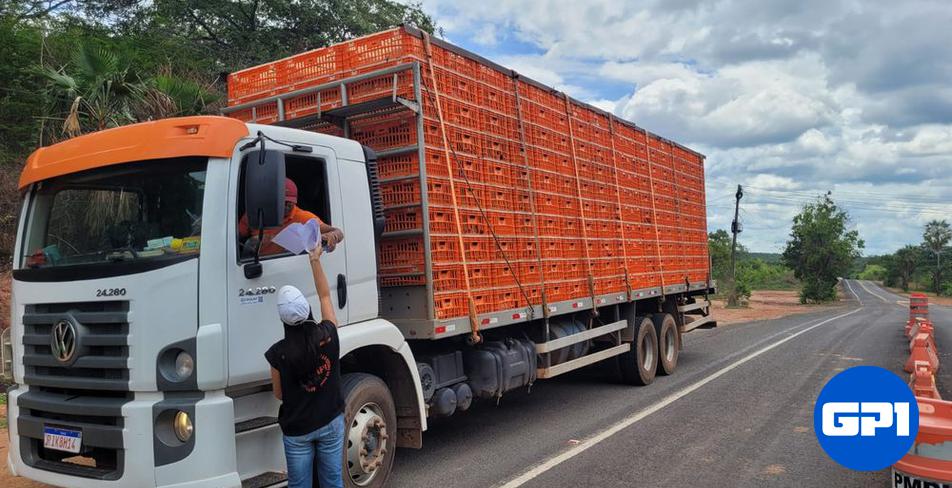 portalgp1's tweet card. A cada 12h, em média, um veículo transportando animais vivos, cargas de vegetais, de insumos e produtos de origem animal …