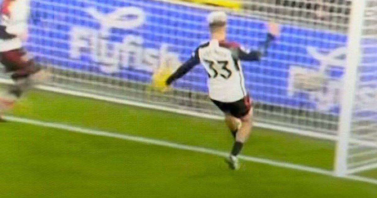 LivEchoEFC's tweet card. Everton wanted a penalty when Antonee Robinson appeared to handle the ball in his own are but despite a VAR check, nothing was given