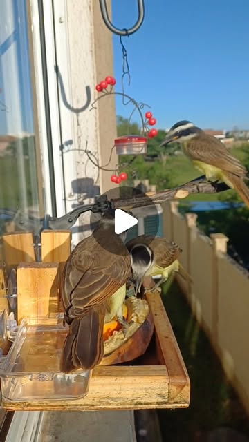 EVANDROBASTOS18's tweet card. Joélcio Oliveira (@joelcio.oliveira) • Instagram reel